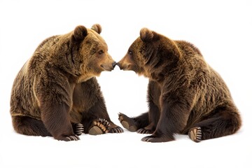 Two Brown Bears Touching Noses in a Playful Encounter