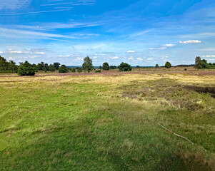in der L&uuml;neburger Heide