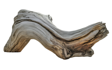 Weathered driftwood sculpture on black background for artistic display