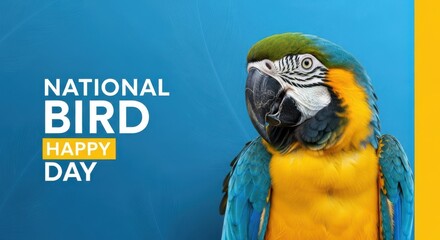 Vibrant blue and yellow macaw parrot a close-up portrait against a blue background celebrating National Bird Day