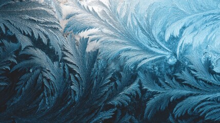 Intricate frost patterns create delicate icy feathers on a cold window surface