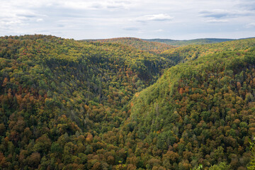 Obraz premium Pine Creek Gorge, or the Pennsylvania Grand Canyon