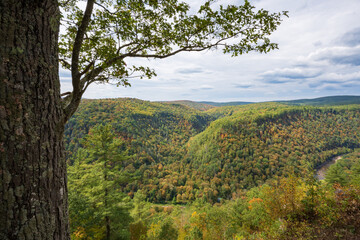 Pine Creek Gorge, or the Pennsylvania Grand Canyon