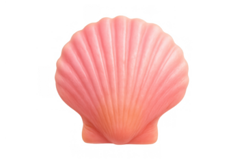 Pink seashell with ribbed texture featuring a vibrant color palette, isolated for marine life and beach concepts