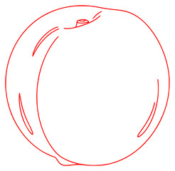 A simple line drawing of an apple, apple, apricot, draw, drawing, fruit, illustration, nectarine, outline, peach, plum, against transparent background