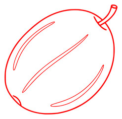 A simple line drawing of an orange fruit, apricot, draw, drawing, fruit, illustration, leaf, outline, peach, plum, against transparent background