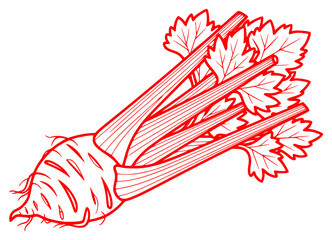 A black and white illustration of a bunch of celery with leaves, black, carrot, celery, draw, drawing, illustration, onion, parsley, sketch, stem, vegetable, against transparent background