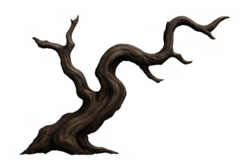 Twisted bare dead tree with gnarled trunk and branches, appearing spooky and mysterious, symbolizing decay or a scary forest