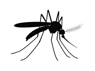0020_1_silhouette-of-mosquito-black-vector-on-w_BfSltpzFR_G9vp4N2Lczdw_I4hgC-HOQ3GWdr3C8pbdZA.eps
