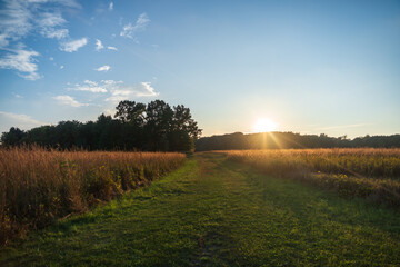 Obraz premium A wild stretch of Lake Erie shoreline, Erie Bluffs
