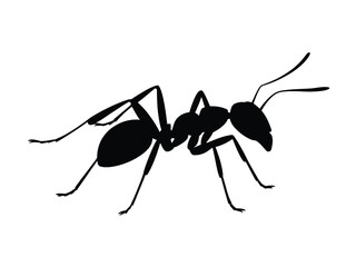 0023_2_silhouette-of-ant-black-vector-on-white-_P7FnNaeeSOyLaIfot59G_Q_LH6BVYJxQC2_75mINLVv7A.eps