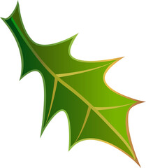 Holly. Christmas holly leaves .on transparent, png, illustration. Holly. Holly leaves and berries. symbol of Christmas