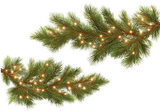 Fir tree branches with a garland of glowing lights on a white background, vector illustration. christmas and new year concept, isolated on a white background, vector, detailed. 