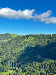 Summer in the French Alps on a July Day 