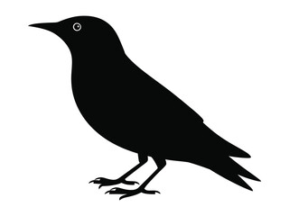 0006_1_silhouette-of-starling-black-vector-on-w_TuvUt4UXQ1yLFcFzMK_Nag_Uja2Y5cxQ9CCIukcR1tWwQ.eps