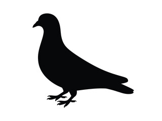 0007_1_silhouette-of-pigeon-black-vector-on-whi_vMV4FMtJRxeIg09oZ2zptQ_dVOJFuYBQUmDiWw4zGmQXQ.eps