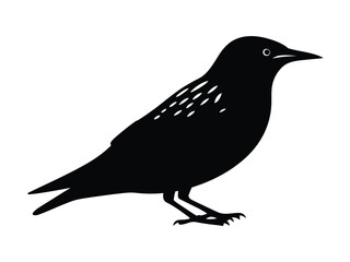 0006_2_silhouette-of-starling-black-vector-on-w_gLd5LS1DRPW3tKPU6Yy5Vg_Uja2Y5cxQ9CCIukcR1tWwQ.eps