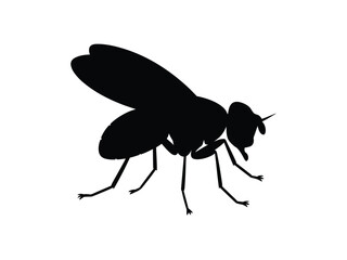 0019_1_silhouette-of-fruit-fly-black-vector-on-_bXyW7pmXSiK2DCh5LdwdAg_pFKGZS8LSeic_OgtUqwTrw.eps