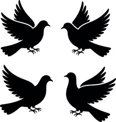 Obraz premium Four black silhouette doves flying bird