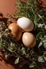 Three Eggs Nestled in Fresh Herbs, Rustic Still Life, Warm Tones.
