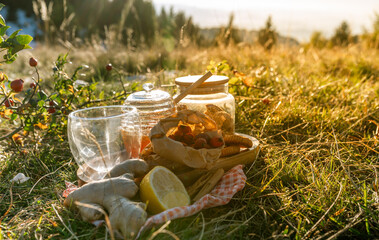 A warm outdoor picnic with herbal tea, rose hips, honey, lemon, and cookies set in a sunny meadow, creating a cozy, natural, and rustic atmosphere.