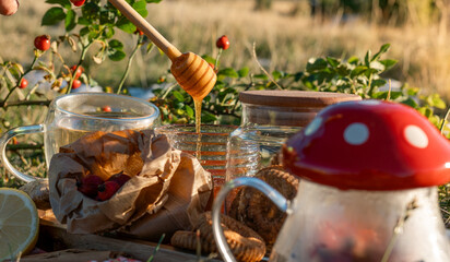 A warm outdoor picnic with herbal tea, rose hips, honey, lemon, and cookies set in a sunny meadow, creating a cozy, natural, and rustic atmosphere.