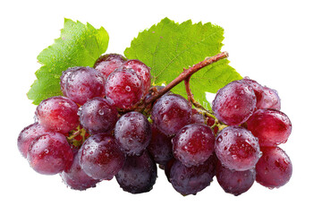Fototapeta premium Close-up of a bunch of red grapes with leaves. Fresh, plump grapes covered in water droplets. Green leaves attached to the stem