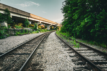 Obraz premium Railroad Tracks Leading into Green Urban Landscape