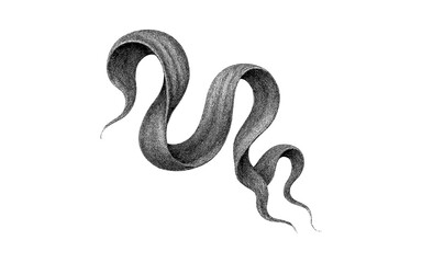 Fototapeta premium Intricate black and white surreal snake line art design