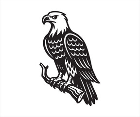 Fototapeta premium Majestic Eagle Perched on Branch – Bold Wild Bird Vector Illustration