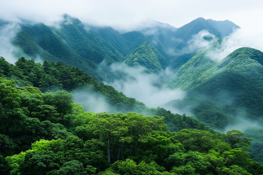 Misty green mountains of Yakushima with dense ancient cedar forests, drifting fog, and lush vegetation creating a mystical and serene Japanese wilderness atmosphere.