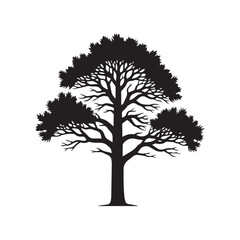 "Idaho Whitebark Pine"