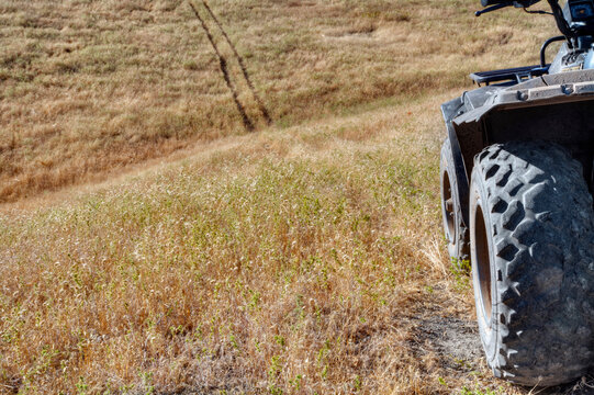 A buggy or quad bike in wheel tracks in a high grass field with rolling terrain, Washington.