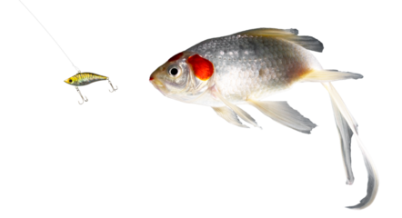 Convincing yellow artifiial lure with fish