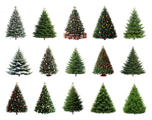 Fototapeta premium PNG Diverse festive Christmas trees, element set on transparent background