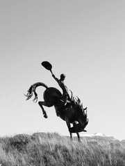 black silhouette of a cowboy on a horse