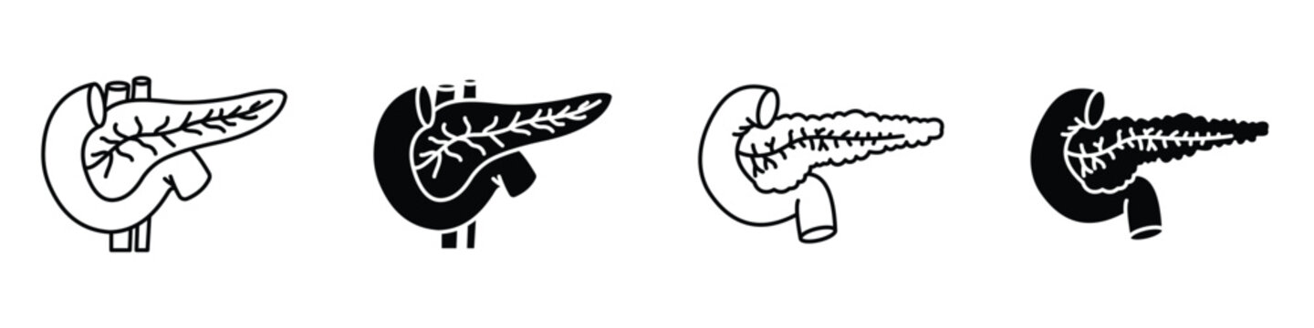 pancreas icon in linear and clipart style pack on white background.