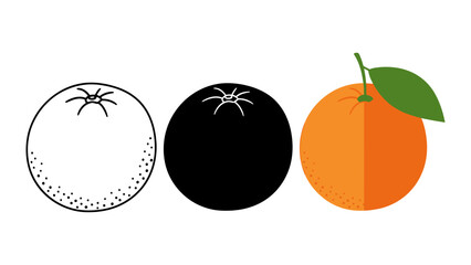 Orange fruit illustration set minimalist vector design in outline silhouette and flat style isolated on white background
