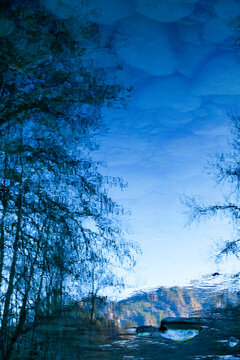Leafless trees and clouds reflected on the Elwha River, Port Angeles