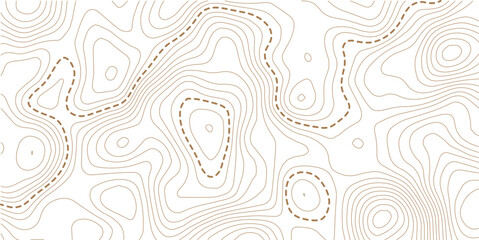Topographic map pattern background vector. Abstract mountain terrain map background with abstract shape line texture. Design illustration for wall art, fabric.