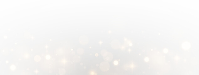 Fototapeta premium Shiny Flare Overlay