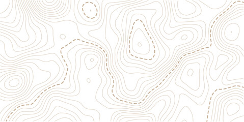 abstract wavy background. topographic contour background. Topography background. Vector banner. 