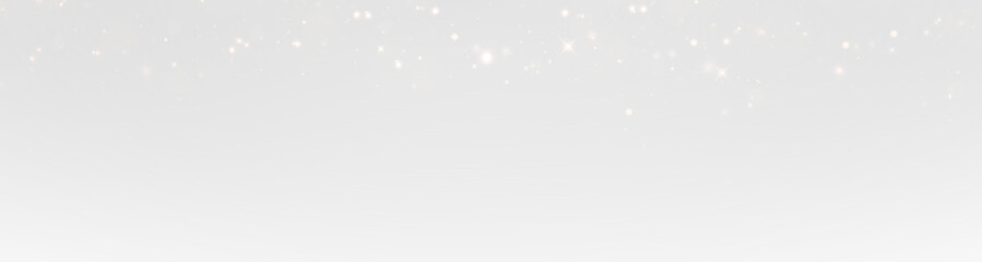 Golden Holiday Flare
