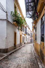 Old typical narrow street in Cordoba with old buildings with white walls decorated with colorful flower pots