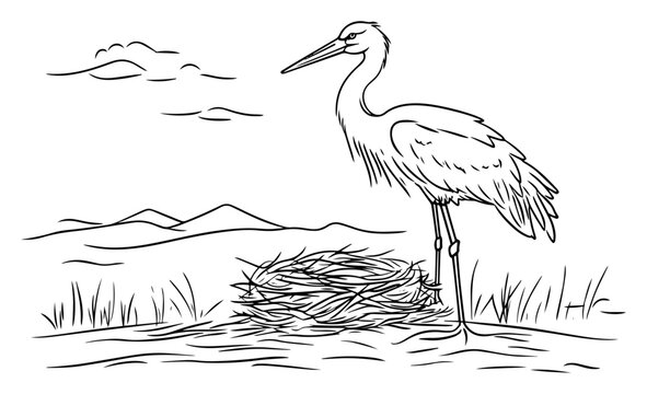 Stork standing beside nest in marshland with distant mountains – elegant wading bird wildlife line illustration