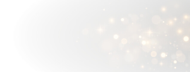 Bright Celebration Light
