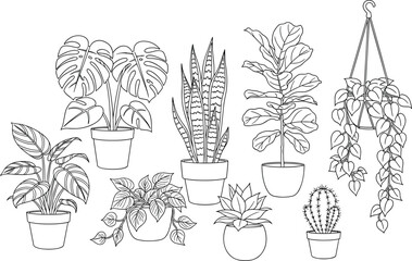 Detailed Black Outline Vector Set of Eight Popular Indoor Houseplants: Monstera, Snake Plant, Fiddle-Leaf Fig, and Trailing Vines for Coloring or Print Design