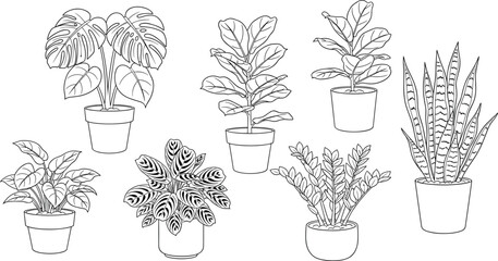 Detailed Black Outline Set of Seven Popular Indoor Houseplants: Monstera, Fiddle-Leaf Fig, Prayer Plant, and Snake Plant, Perfect for Coloring Book Design