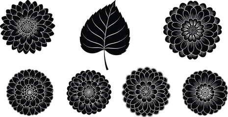 Monochromatic Black and White Floral Vector Set: Intricate Chrysanthemum or Dahlia Flowers and Detailed Botanical Leaf Silhouette for Design, Tattoo, or Print