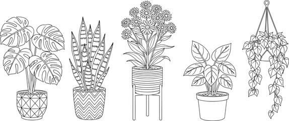Black and White Outline of Five Popular Indoor Houseplants: Monstera, Snake Plant, Flowering Pot Mum, Chinese Evergreen, and Trailing Heart-Leaf Philodendron for Coloring Book Page or Minimalist Print